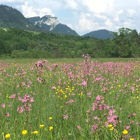 Penzion Roal Pieniny 3*