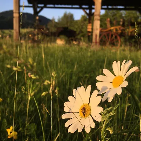 Penzion Roal Pieniny Guest house Spisska Stara Ves