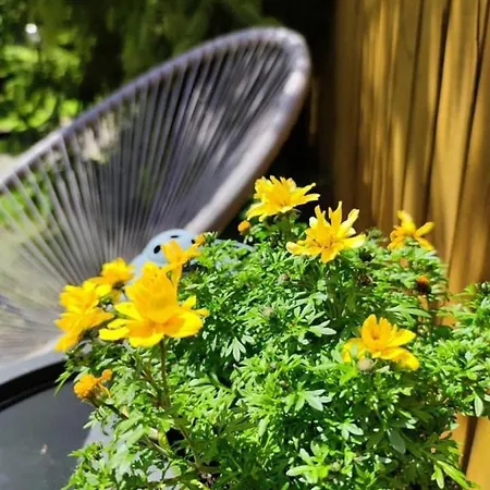 Guest house Penzion Roal Pieniny 3*