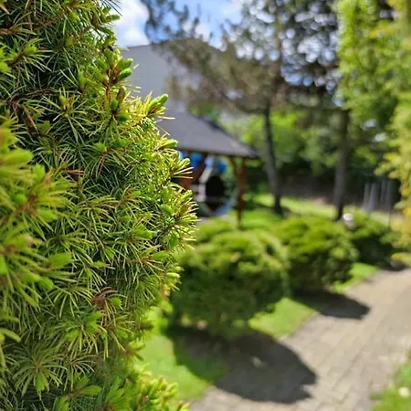 Penzión Roal Pieniny Stara Wieś Spiska