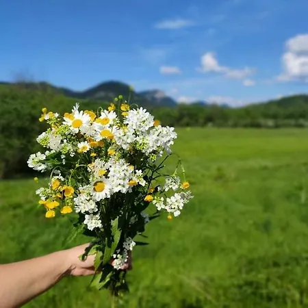 Gasthuis Penzion Roal Pieniny 3*